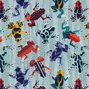 Small scale // Quirky dart frogs dance // duck egg blue textured background brightly multicoloured poison amphibians
