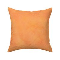 Solid Papaya- Cloudy Texture
