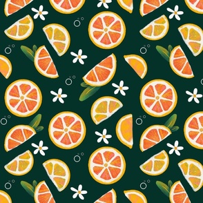 Fresh citrus slices |lemons and oranges