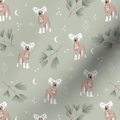 Adorable winter powderpuff puppy garden Chinese Crested dog with pine needle branches moon and stars boho night on sage green olive