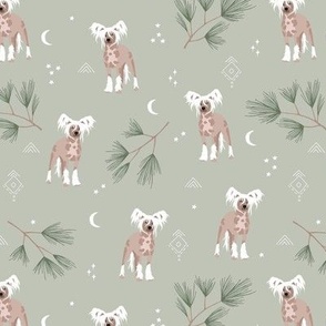 Adorable winter powderpuff puppy garden Chinese Crested dog with pine needle branches moon and stars boho night on sage green olive