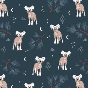 Adorable winter powderpuff puppy garden Chinese Crested dog with pine needle branches moon and stars boho night on midnight blue navy