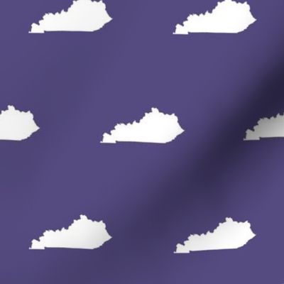 Kentucky silhouette, 3x4" blocks, white on purple