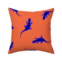 electric blue gecko on orange