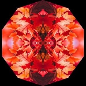 Red Octagon Kaleidoscope on Black