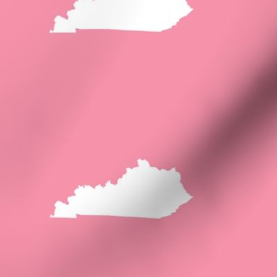 Kentucky silhouette, 5x7" blocks, white on pink