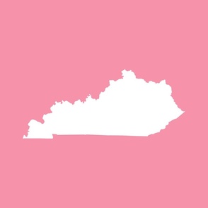 Kentucky silhouette, 18x21" panel, white on pink