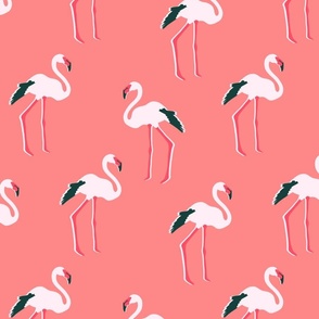 flamingos, dark pink, medium