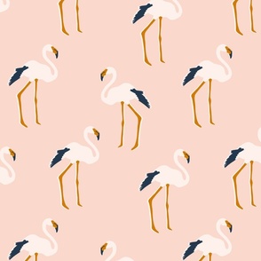 Light pink flamingo, medium