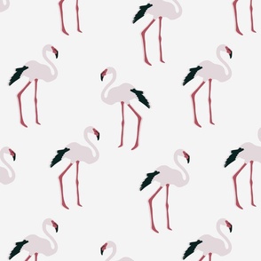 Flamingos white, medium