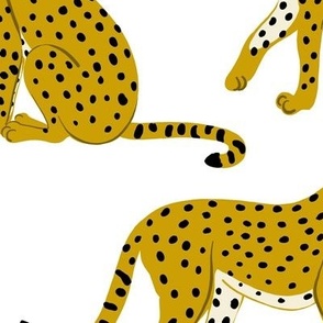 Cheetahs on White - Large