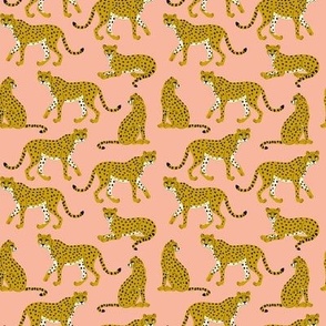 Cheetahs on Apricot -small