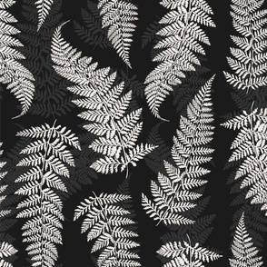 Forest Ferns - Black & White