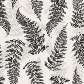 Forest Ferns - White & Black