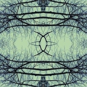 Trees kaleidoscope