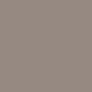 Solid color warm gray hexcode 958982