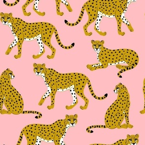 Cheetahs on Pink