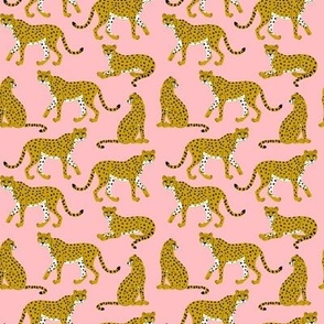 Cheetahs on Pink -small