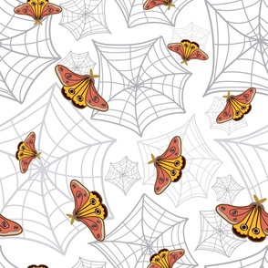 Moth & spider webs