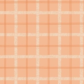 medium // Tartan in Peach and Papaya