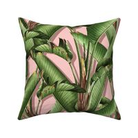 Strelitzia palm jungle/pink pop/large scale