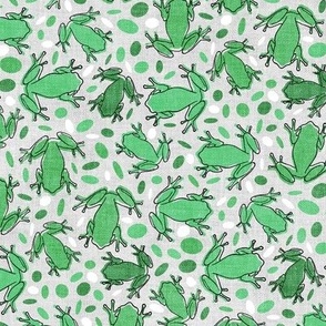 Amphibians - green frogs 