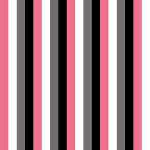 Modern Vertical Lines Pink White Grey Black Stripes