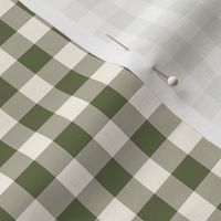 Green and Cream Gingham 6x6