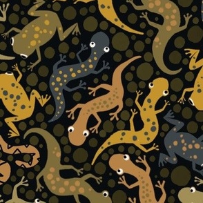 Quirky Amphibians { earth tones } Frogs Salamanders Caecilians