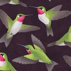 Hummingbird - Black