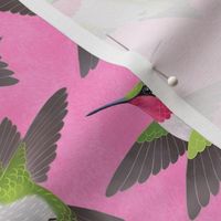 Hummingbird - Pink
