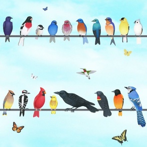 birds on a line with butterflies of North America