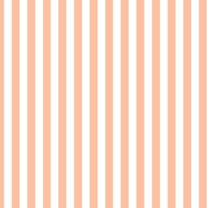 Vertical Bengal Stripe Pattern - Peach Sorbet and White
