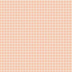 Small Grid Pattern - Peach Sorbet and White