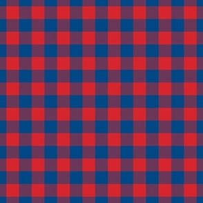 Gingham Pattern - Fiery Red and Blue