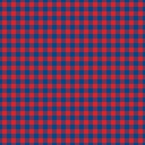 Small Gingham Pattern - Fiery Red and Blue