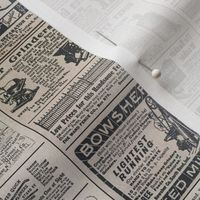 1880s Newspaper Advertisements
