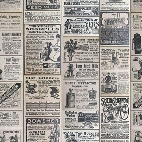 1880s Newspaper Advertisements