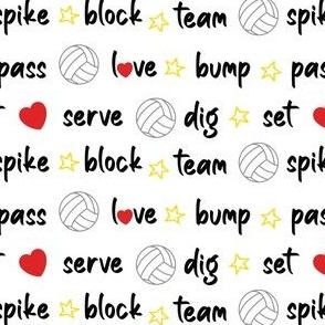 Volleyball Terms on White