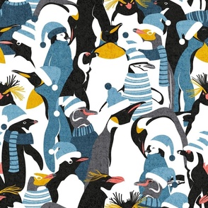 Normal scale // Merry penguins //  black white grey dark teal yellow and coral type species of penguins blue dressed for winter and Christmas (King, African, Emperor, Gentoo, Galápagos, Macaroni, Adèlie, Rockhopper, Yellow-eyed, Chinstrap)