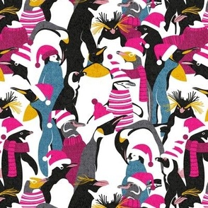 Small scale // Merry penguins //  black white grey dark teal yellow and coral type species of penguins pink dressed for winter and Christmas (King, African, Emperor, Gentoo, Galápagos, Macaroni, Adèlie, Rockhopper, Yellow-eyed, Chinstrap)