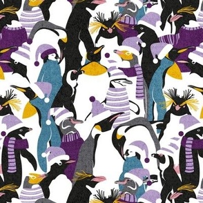 Small scale // Merry penguins //  black white grey dark teal yellow and coral type species of penguins violet dressed for winter and Christmas (King, African, Emperor, Gentoo, Galápagos, Macaroni, Adèlie, Rockhopper, Yellow-eyed, Chinstrap)