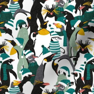 Small scale // Merry penguins //  black white grey dark teal yellow and coral type species of penguins green dressed for winter and Christmas (King, African, Emperor, Gentoo, Galápagos, Macaroni, Adèlie, Rockhopper, Yellow-eyed, Chinstrap)