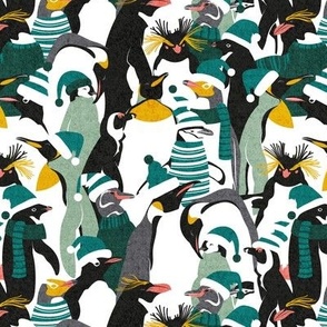 Small scale // Merry penguins //  black white grey dark teal yellow and coral type species of penguins green dressed for winter and Christmas (King, African, Emperor, Gentoo, Galápagos, Macaroni, Adèlie, Rockhopper, Yellow-eyed, Chinstrap)