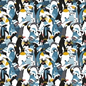 Tiny scale // Merry penguins //  black white grey dark teal yellow and coral type species of penguins blue dressed for winter and Christmas (King, African, Emperor, Gentoo, Galápagos, Macaroni, Adèlie, Rockhopper, Yellow-eyed, Chinstrap)