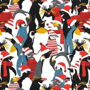 Small scale // Merry penguins //  black white grey dark teal yellow and coral type species of penguins red dressed for winter and Christmas (King, African, Emperor, Gentoo, Galápagos, Macaroni, Adèlie, Rockhopper, Yellow-eyed, Chinstrap)