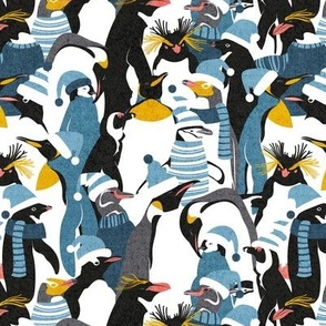 Small scale // Merry penguins //  black white grey dark teal yellow and coral type species of penguins blue dressed for winter and Christmas (King, African, Emperor, Gentoo, Galápagos, Macaroni, Adèlie, Rockhopper, Yellow-eyed, Chinstrap)