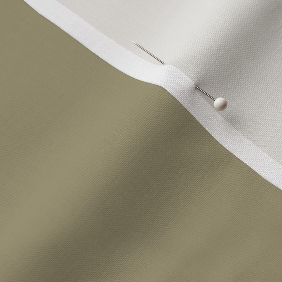 Warm Taupe Solid Color Pairs Dulux 2022 Popular Colour Calming Meadow - Trends - Shades- Hues