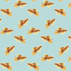 Golden Goldfish on Blue