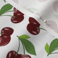 Red Cherries on White 